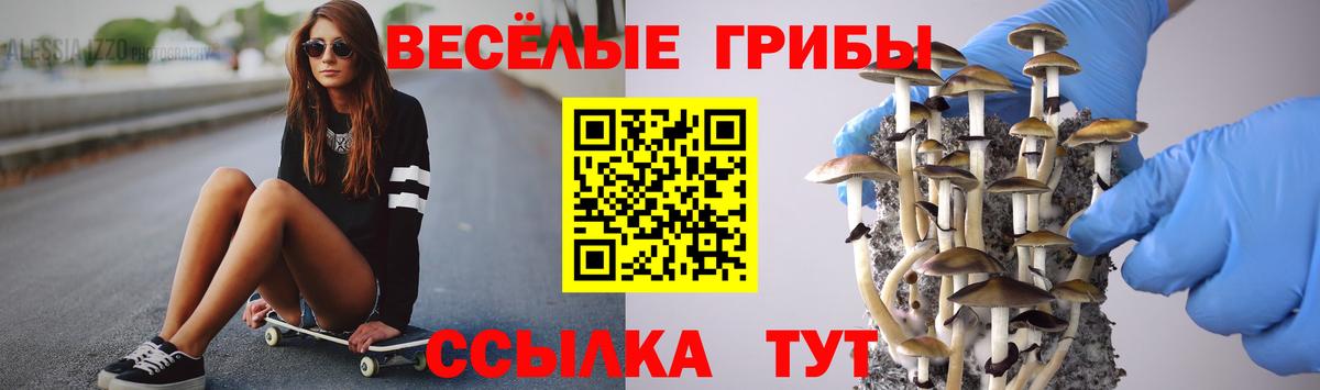 Галлюциногенные грибы прущие грибы  Псилоцибиновые грибы мухоморы  Вход с VPN  Волгодонск 